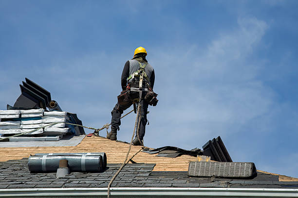 Professional Roof Replacement technician working in Castalia, NC